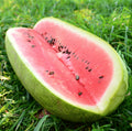Sandia Charleston Grey Sobre 1 Libra